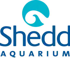 Shedd Aquarium Promo Codes 