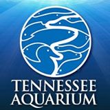 Tennessee Aquarium Promo Codes 